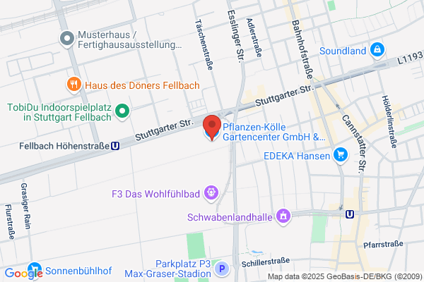 Onlineshop Baum
