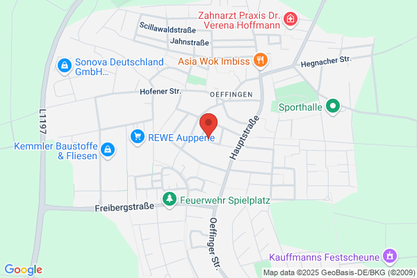 Bucher Büroeinrichtungen