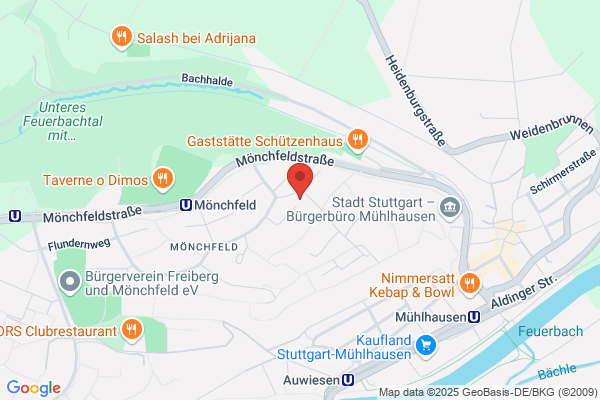 Bio Teppichreinigung Stuttgart