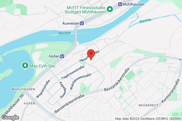 Pforzheim Management Institut PF-MI