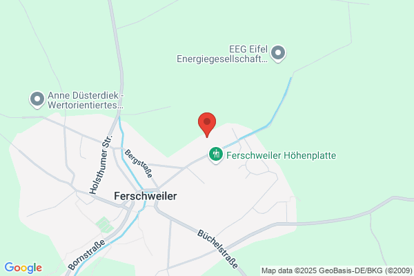 Freiwillige Feuerwehr