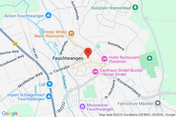 Lohn- und Einkommensteuer Hilfe-Ring Deutschland e.V. (Steuerring)