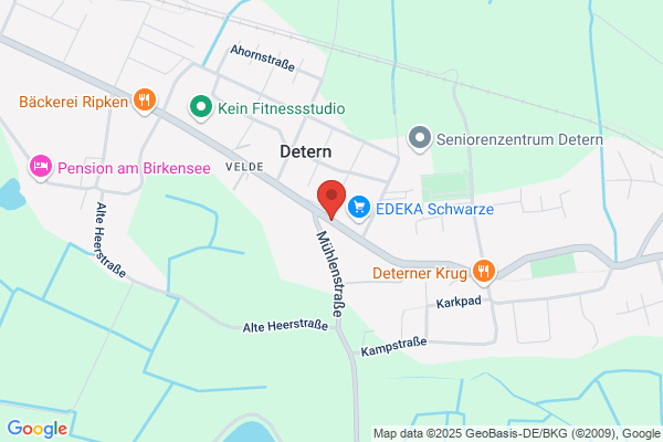 Dieter Asen