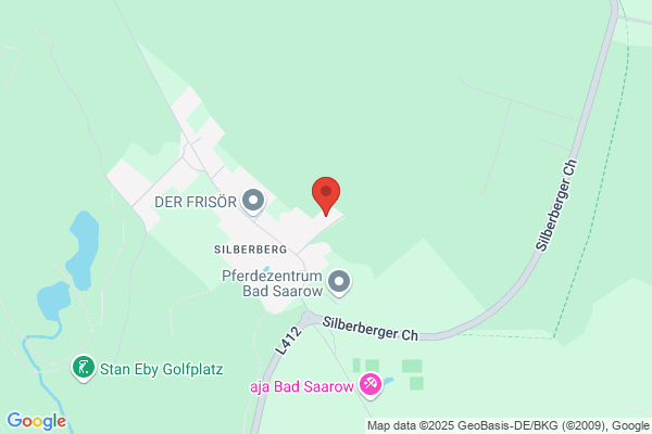 Dussmann AG & Co. KG aA