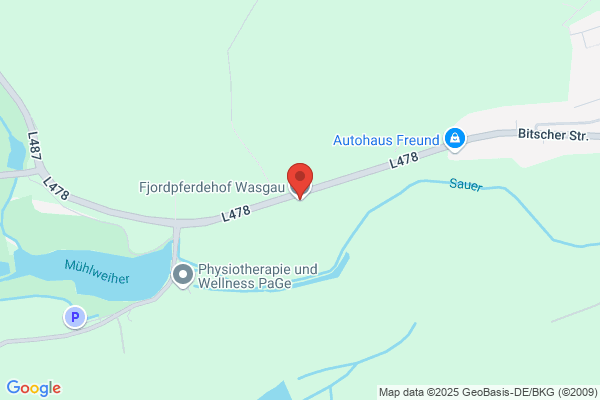 Fjordpferdehof Wasgau