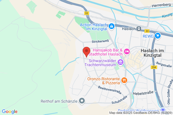 Gothaer Versicherungen in Haslach im Kinzigtal Maximilian Kühnel