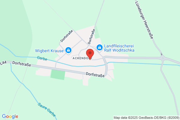Dogs4Motion Hundephysiotherapie & Hundeosteopathie mit Unterwasserlaufband