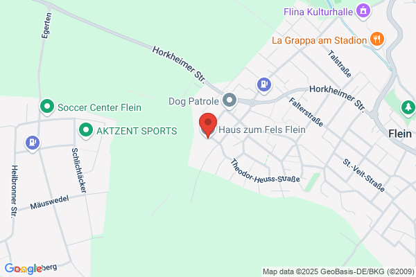 Haus zum Fels Flein