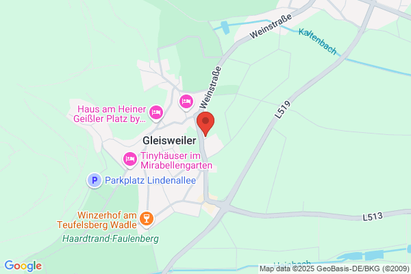 PFALZWERKE Ladestation
