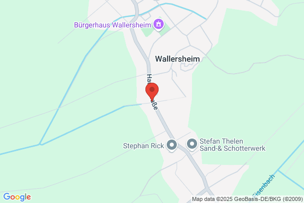 Thelen GmbH & Co. KG