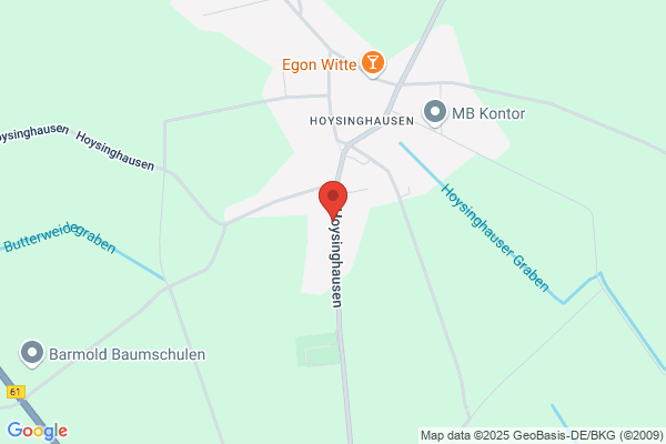 Heinrichs