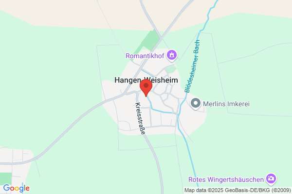 Hansfried Hangen