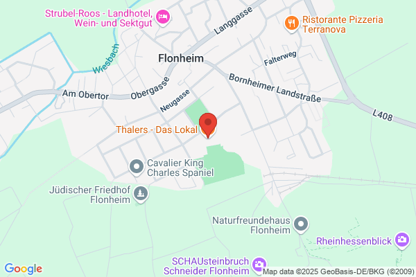 Fußballverein 1920 Flonheim