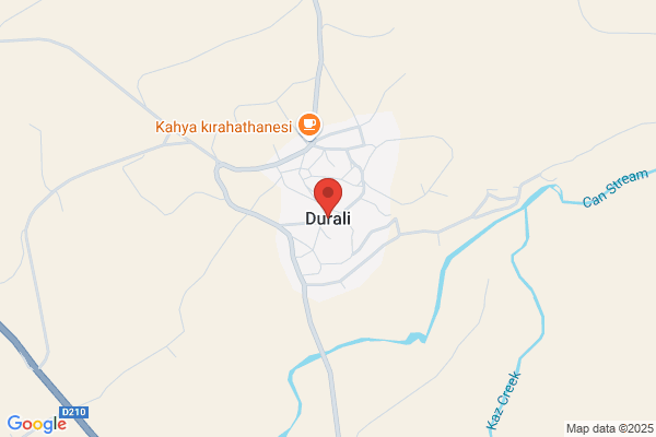 Durali Yerli