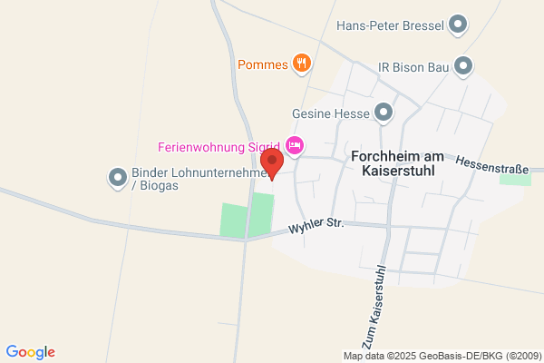 Freiwillige Feuerwehr Endingen