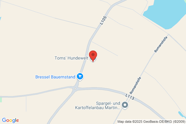 Toms' Hundewelt