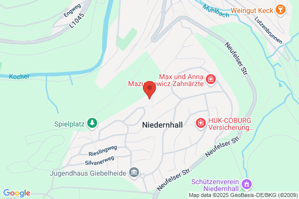 NetSpeed GmbH