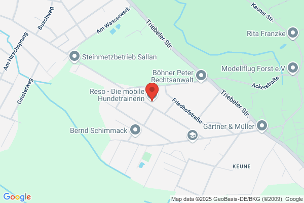 Der Internet Hundetrainer