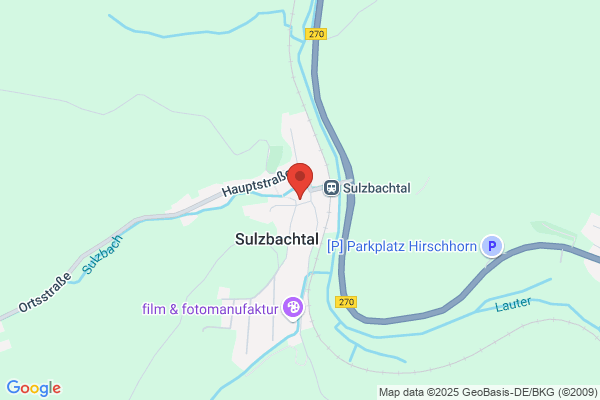 Raquet Fossils Worldwide