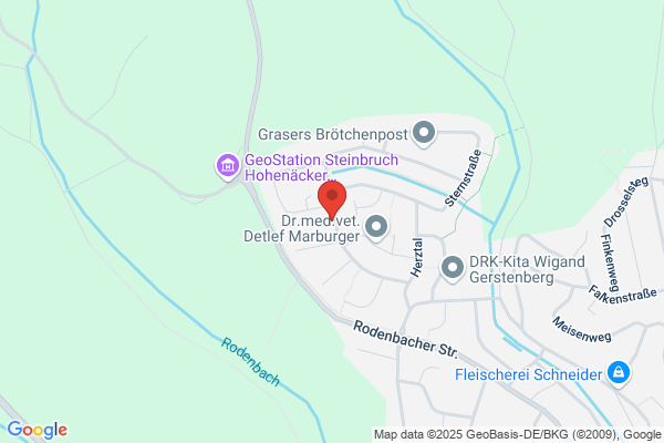 Kirchengemeinde Viermünden, Pfarrerehepaar Houska