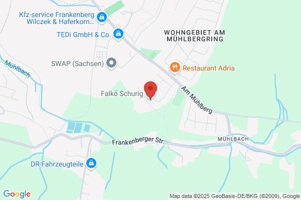 Fahrschule Falko Schurig