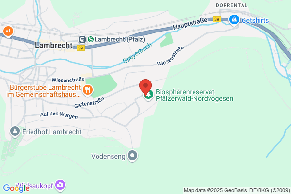 PFALZWERKE Ladestation