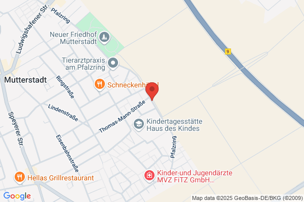 Am Pfalzring