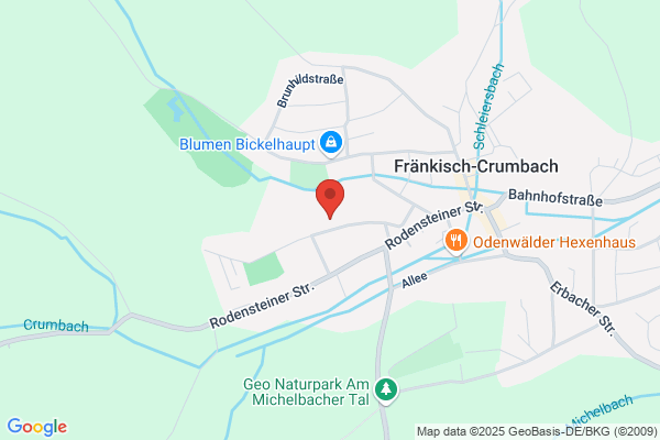 Rodensteinschule, Grundschule
