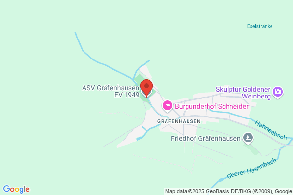Allgemeiner Sportverein (ASV) Böchingen