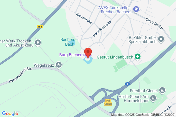 Alt Bachem
