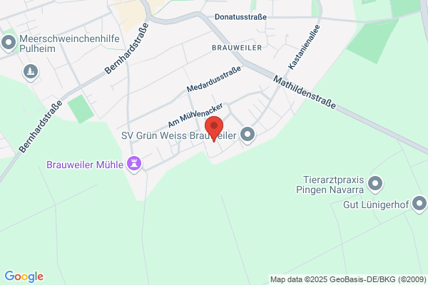 Malerbetrieb Knapp, Meisterbetrieb