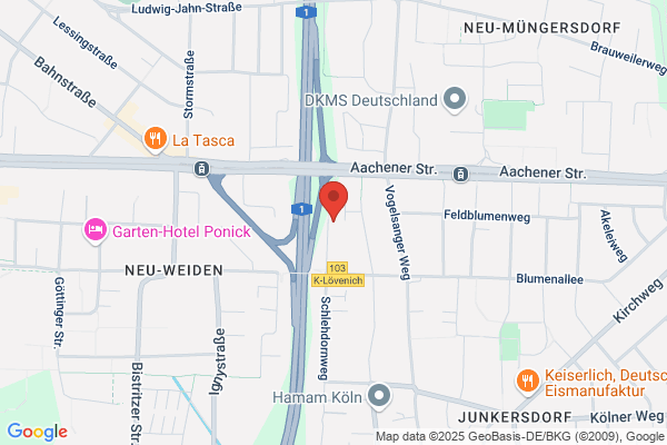 Pieper, Hanno