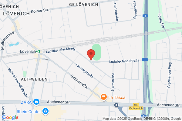 Sportverein Weiden Fußball