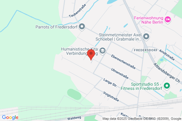Bühler electronic GmbH