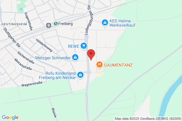 Schweizer