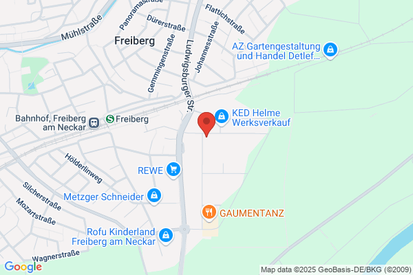 Softwareentwicklung Geißler