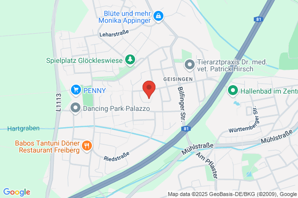 VIARATIO Consulting Dipl.-Phys. Bernd Priessnitz