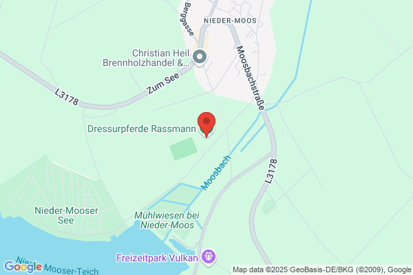 Dressurpferde Rassmann GmbH