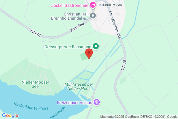 Sportverein Nieder-Moos
