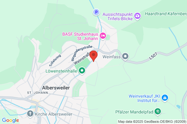 Fensterreinigung