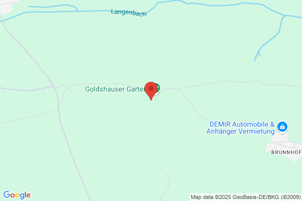 Gutachten und Prüfservice
