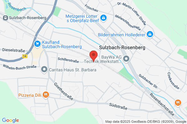 Steger GmbH, Hans-Dieter