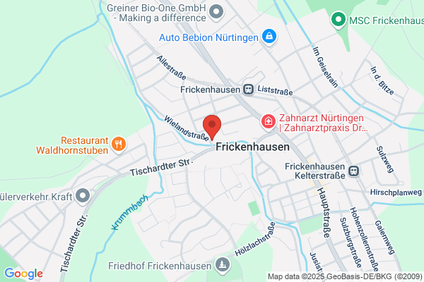 Steinach Floristik