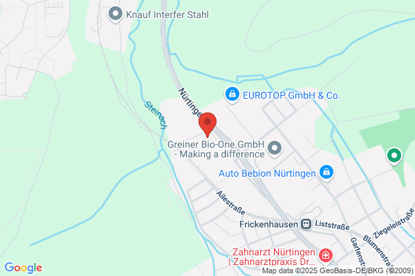 Bambus Garten