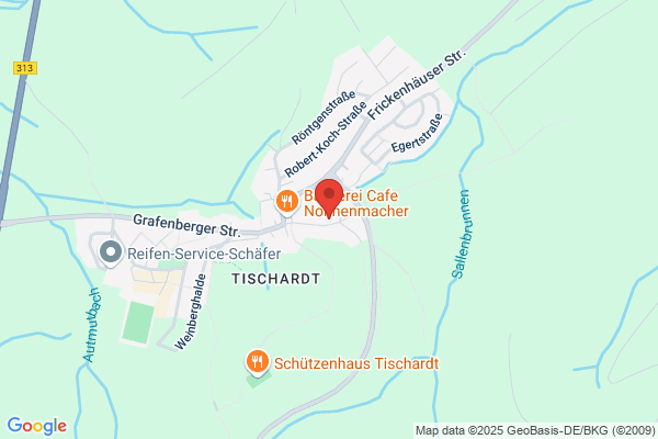Friz GmbH