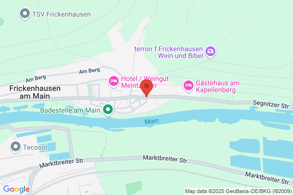 Faschingsverein Frickenhausen