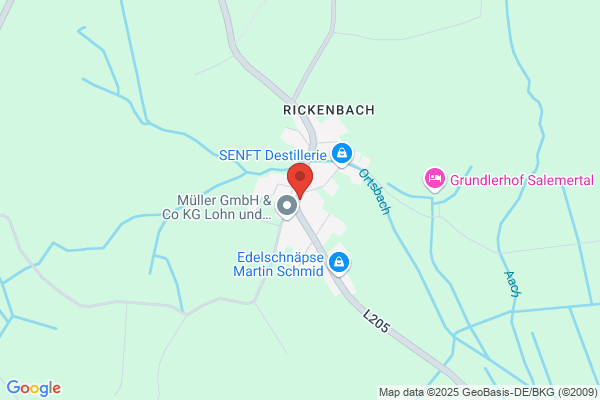 DGH Rickenbach Narrenverein