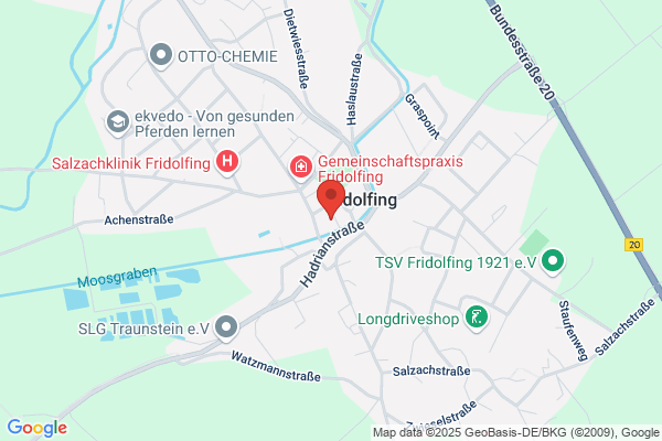 Altenheim, Altenpflege- und