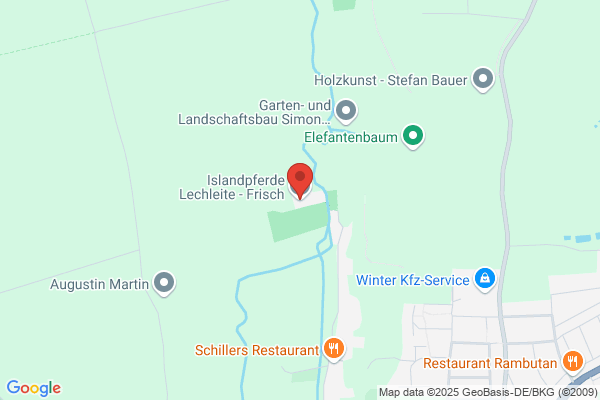 Islandpferdehof Lechleite Frisch