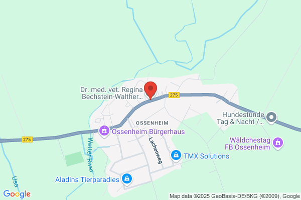 Dr. med. vet. Regina Bechstein-Walther Tierarztpraxis